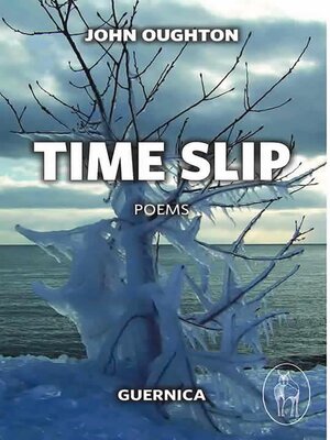 cover image of Time Slip